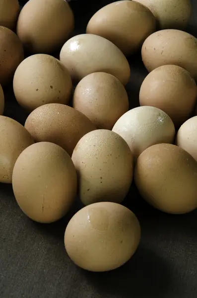 Eggs of chickens. — Stock Photo, Image