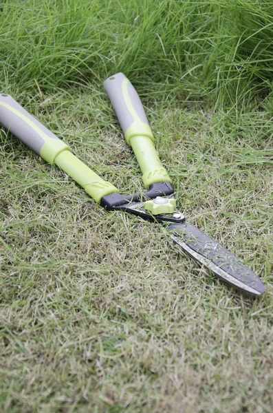 Nůžky na trávu. — Stock fotografie