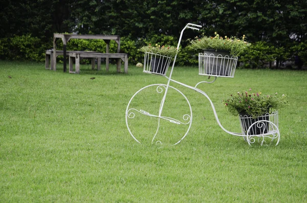 Chair in the garden. — Stock Photo, Image