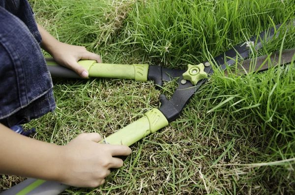 Schaar te snijden het gras. — Stockfoto