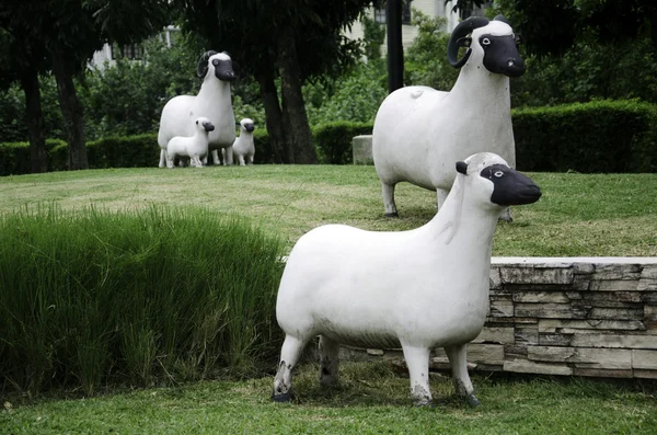 Moutons dans le champ. — Photo