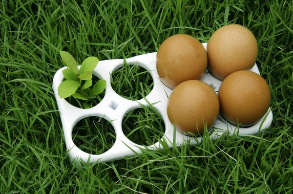 Eggs in the grass. — Stock Photo, Image