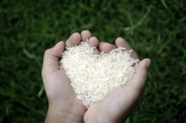 Rice grain. clipart