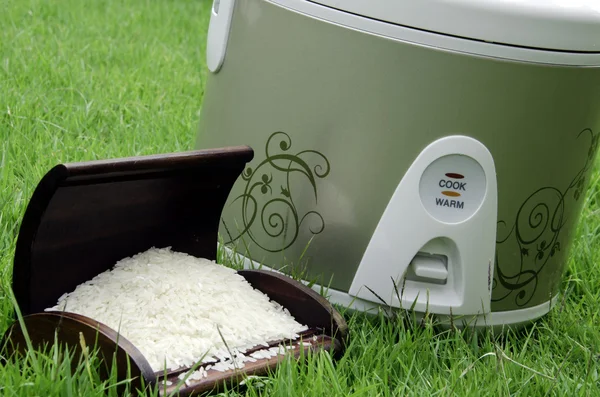 Cocinero de arroz. — Foto de Stock