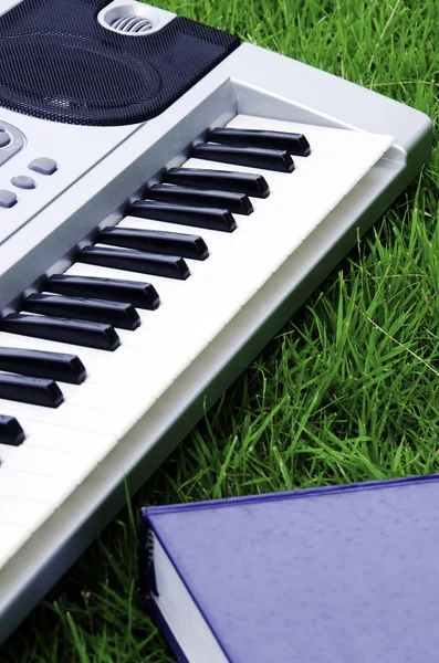 Piano field. — Stock Photo, Image