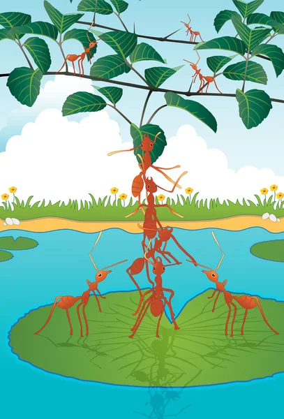 Tolerancia de las hormigas — Archivo Imágenes Vectoriales
