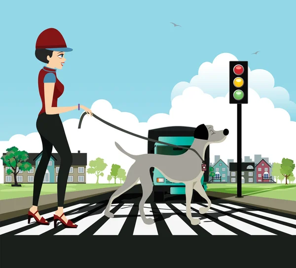 Mujer paseando perro — Vector de stock