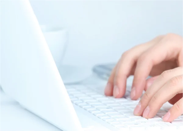 Human hands working on laptop on office background — Stock Photo, Image