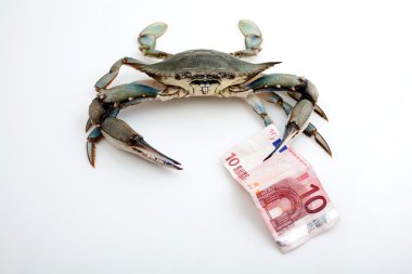 blauwe krab houden een bankbiljet