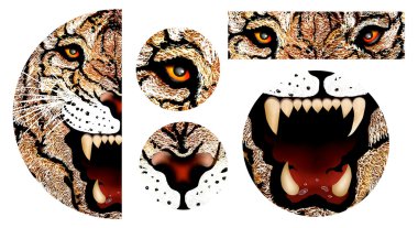 Çizim Tiger yüz el