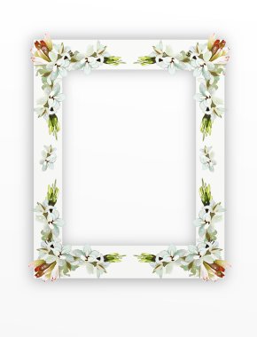 tuberose çiçekler, dikey beyaz çerçeve