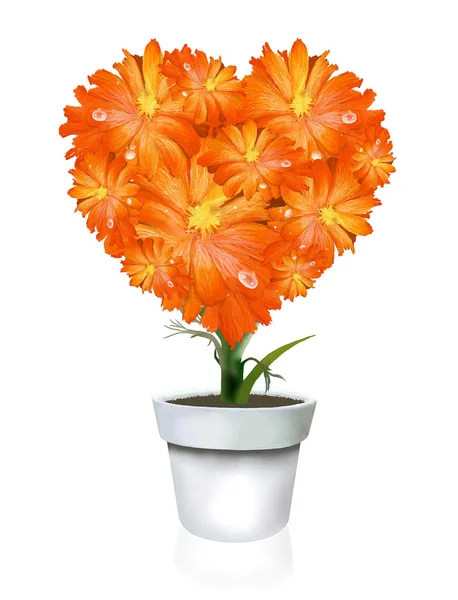 Forma de corazón de Gerbera naranja en maceta — Foto de Stock