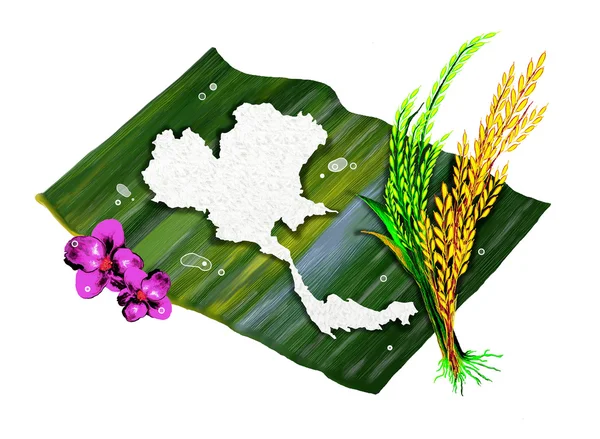 Jasmijn rijst van Thailand's kaart vorm — Stockfoto