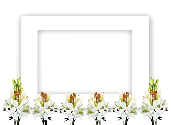Tuberose Bouquet on Horizontal Frame — Stock Photo, Image