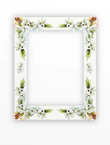 Tuberose Flowers on Vertical White Frame — Stock Photo, Image