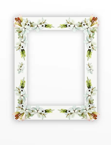Tuberose квіти на вертикальній рамі білий — стокове фото