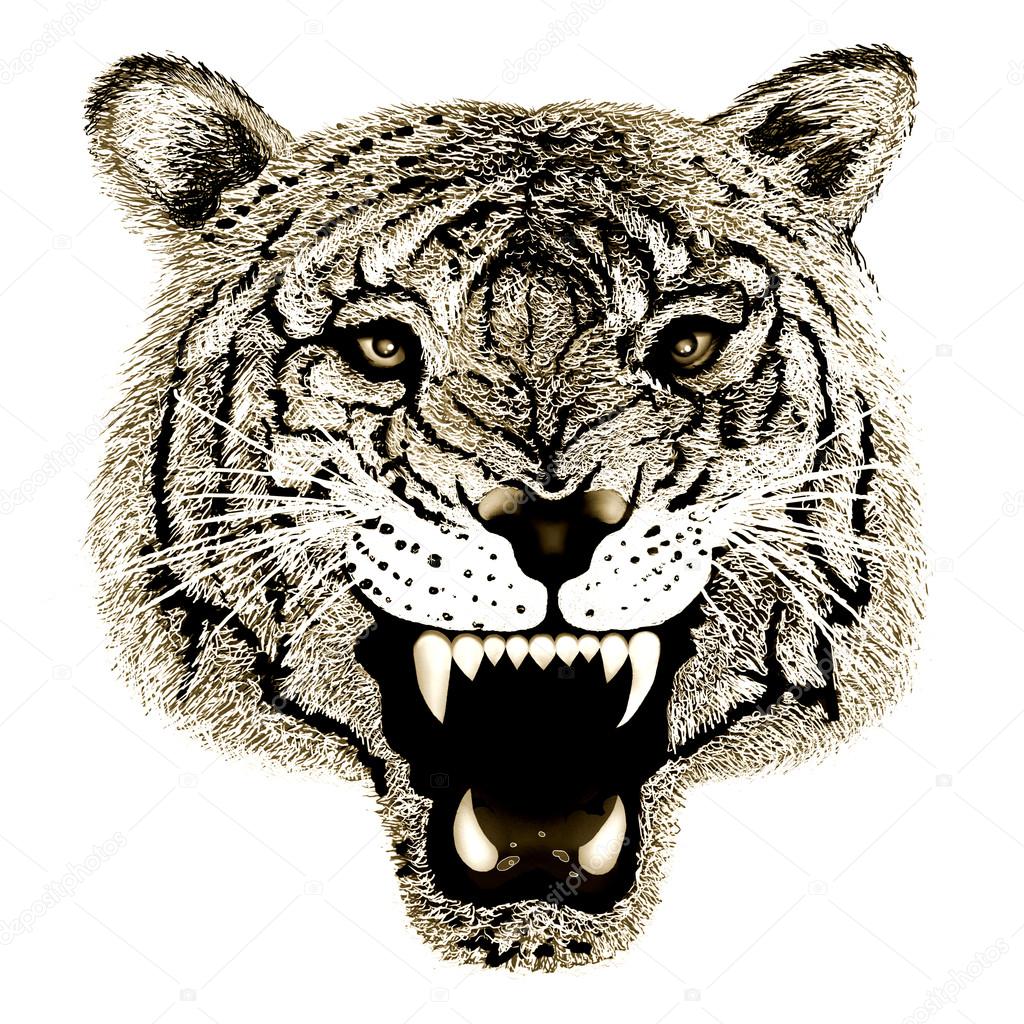 Hand Drawing of Black and White Tiger Head