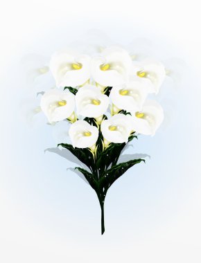 bir buket çiçek calla zambak güzel, sade ve şık buket ışık mavi zemin üzerine