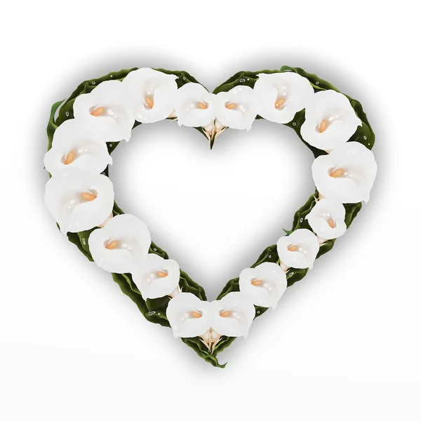 Un hermoso marco de corazón de flor de lirio de cala blanca, aislado sobre un fondo blanco — Foto de Stock
