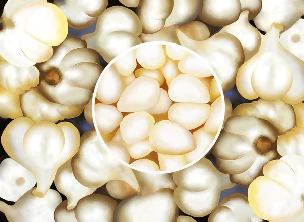Garlic Cloves in Circle Frame on Garlic Bulbs Background — Stock Photo, Image