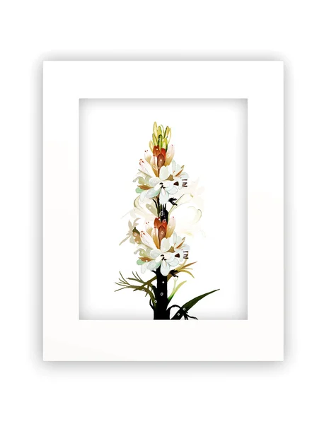 Flores de Tuberosa en Marco Blanco — Foto de Stock