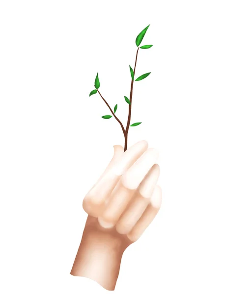 A Hand Holding A Short Branch with Green Leaves — Stock Photo, Image