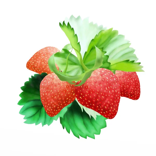 Hand Drawing of Fresh Ripe Red Strawberries — Stock Photo, Image