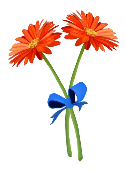 Φρέσκο δύο πορτοκαλί ζέρμπερες λουλουδιών με μπλε κορδέλα — Φωτογραφία Αρχείου