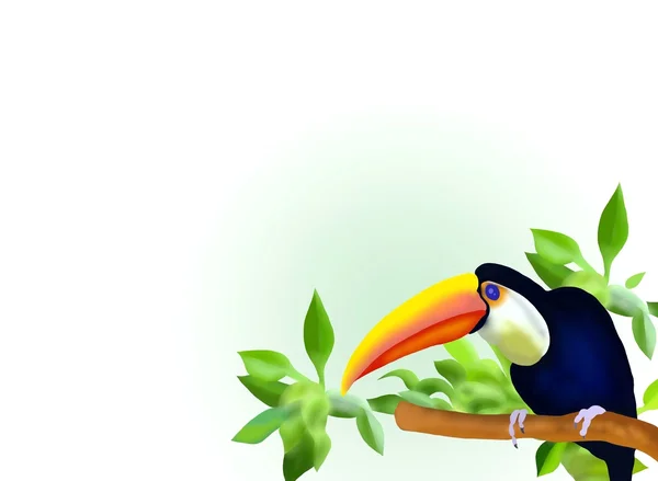 A Hornbill on Branch and Leaves Background — Stock Photo, Image