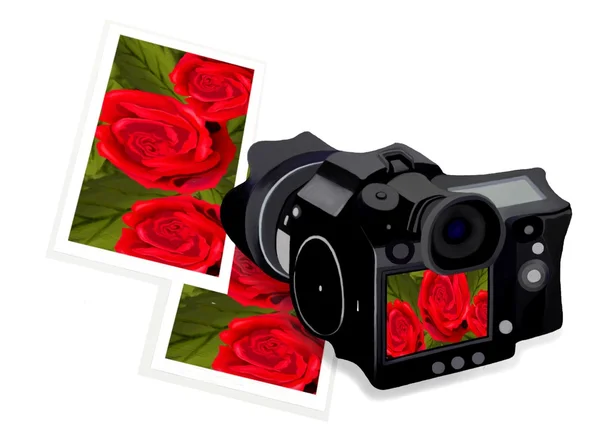 Een camera met roos afbeelding en frame — Stockfoto