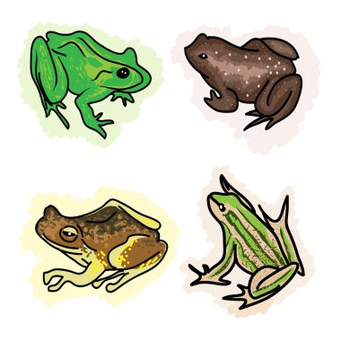 An Illustration Four Different Type of Frogs clipart