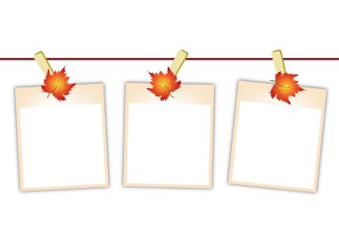 boş fotoğraf ile akçaağaç yaprakları clothesline üzerinde asılı