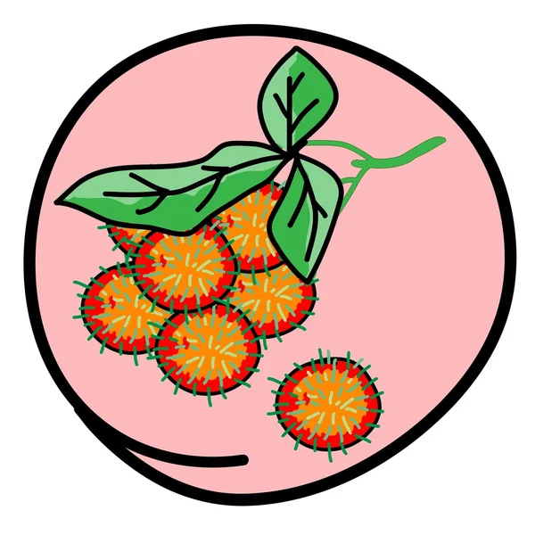 Rambutans jugosos frescos sobre fondo rosado redondo — Vector de stock