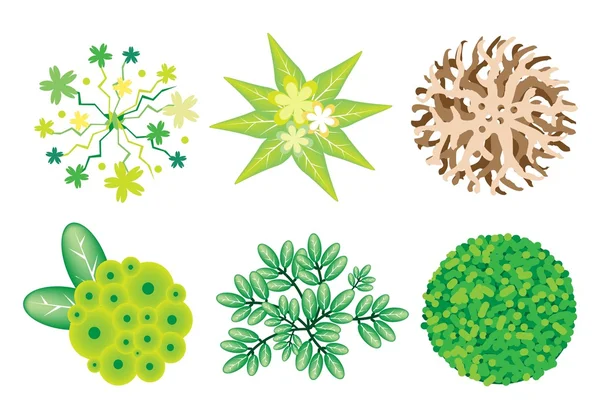 ชุด Isometric ของต้นไม้และพืช — ภาพเวกเตอร์สต็อก