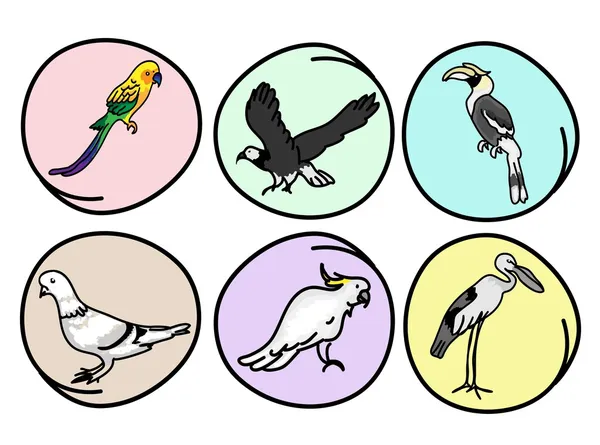 Ein illustratives Set schöner Wildvögel — Stockvektor