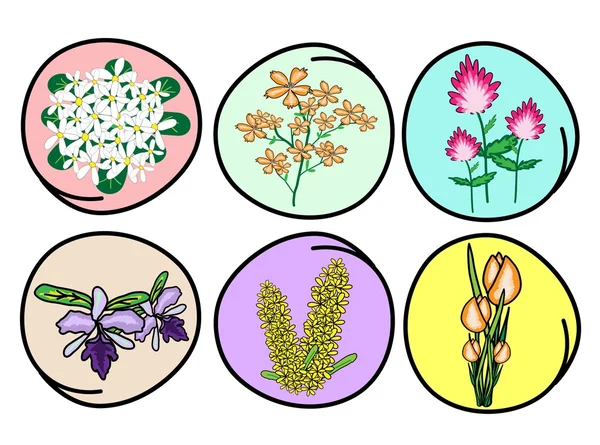 Et illustrationssæt af blomst og orkide – Stock-vektor