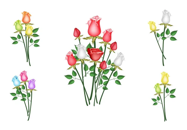 Illustration de Roses Bouquet isolé sur fond blanc — Image vectorielle