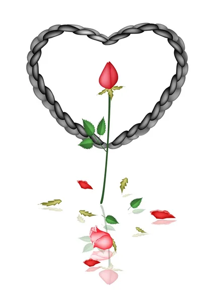 Un coeur de corde noire avec des roses rouges — Image vectorielle