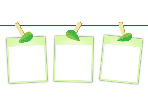 Blank Photos with Green Leaves Hanging on Clothesline — Stock Vector