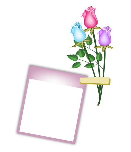 Tre bellissime rose con foto in bianco viola — Vettoriale Stock