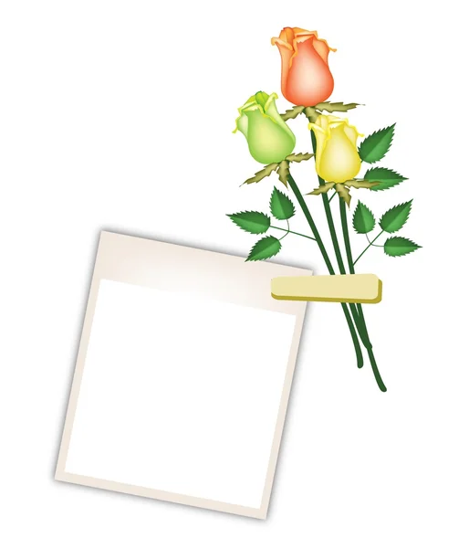 Tres hermosas rosas con marcos de fotos en blanco — Vector de stock