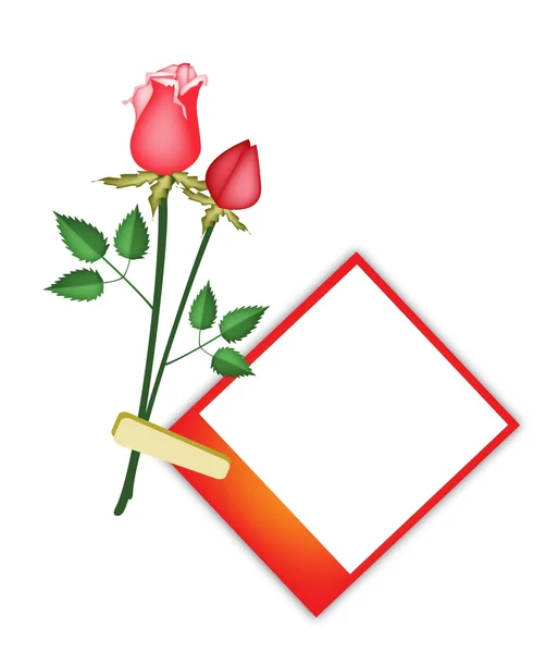 Due bellissime rose rosse con foto in bianco — Vettoriale Stock