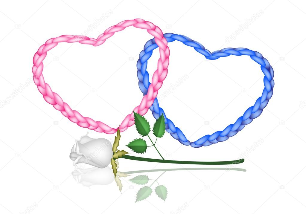 Two Rope Heart with A White Rose