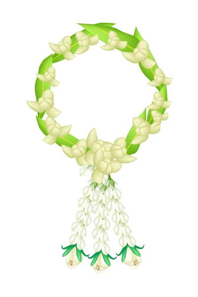 A Fresh White Colors of Ylang Ylang Flowers Garland — Stock Vector