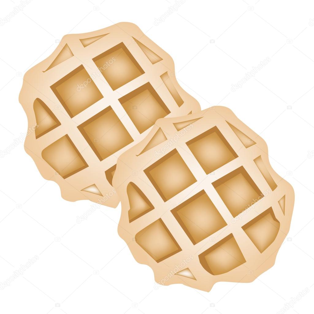 Two Baked Round Waffles on White Background