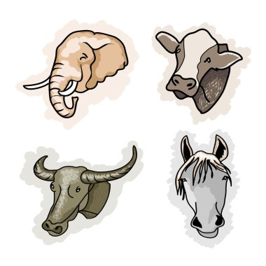 A Set of Benefit Animal on Corlors Background clipart