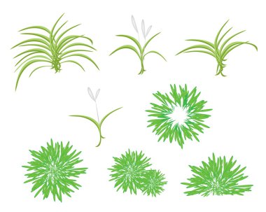 A Isometric Tree Set of Dracaena Plant clipart