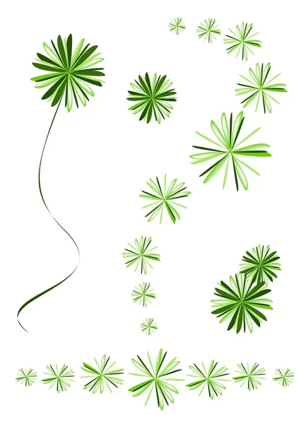 Concepto ecológico, un helecho verde de la cola de zorro de la ilustración o planta Densiflorus del espárrago de Myers para la decoración del jardín — Vector de stock