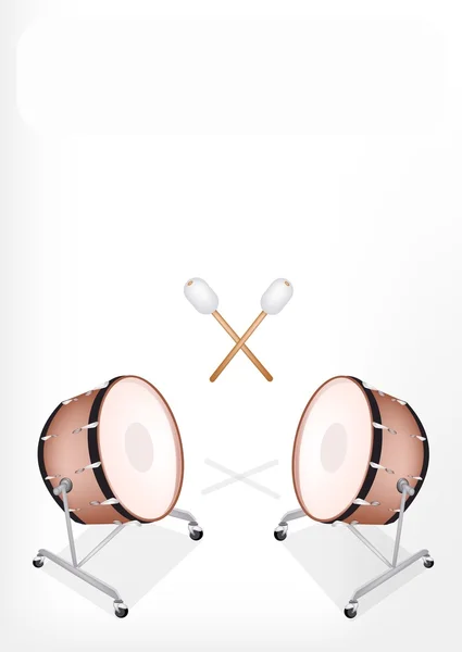 Two Beautiful Classical Bass Drum on White Background — Stock Vector