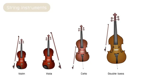 Cuatro cuerdas de instrumentos musicales sobre fondo blanco — Vector de stock